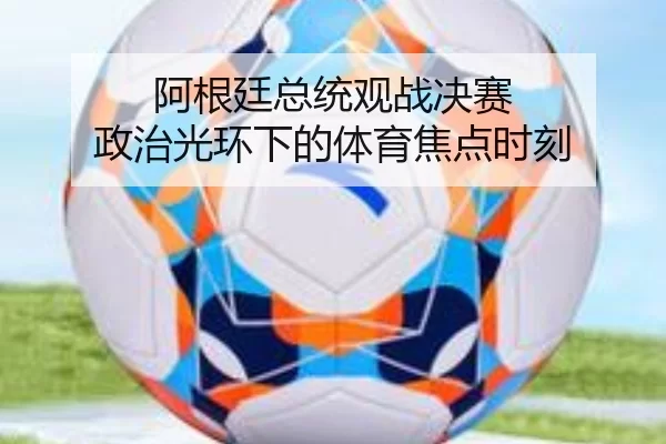 阿根廷总统观战决赛 政治光环下的体育焦点时刻