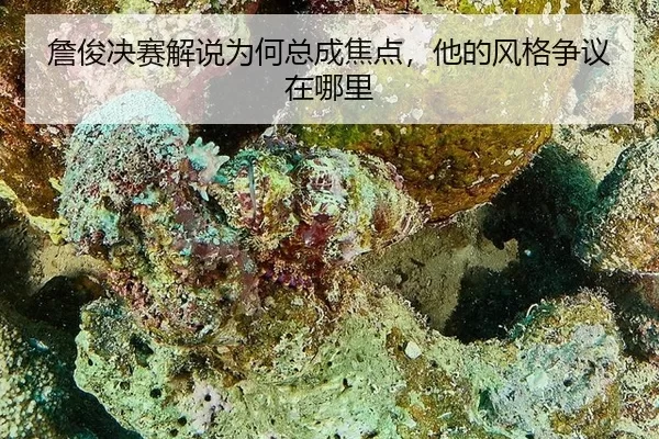 zhan-jun-jue-sai-jie-shuo-wei-he-zong-cheng-jiao-dian-ta-de-feng-ge-zheng-yi-zai-na-li-2-174.jpg
